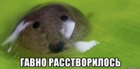  гавно расстворилось