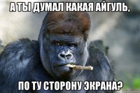 а ты думал какая айгуль, по ту сторону экрана?
