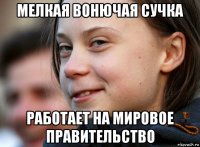 мелкая вонючая сучка работает на мировое правительство