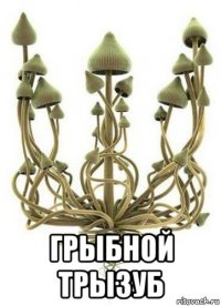  грыбной трызуб