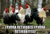  группа петухов!)) группа петухов!!!1)))