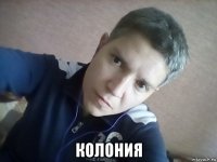  колония