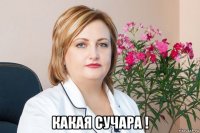  какая сучара !