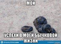 мои успехи в моей бычковой жизни