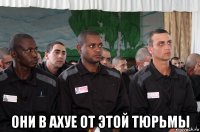  они в ахуе от этой тюрьмы