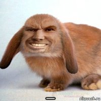  _