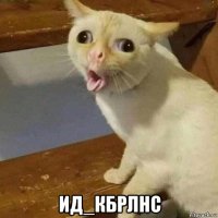  ид_кбрлнс