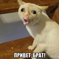  привет, брат!