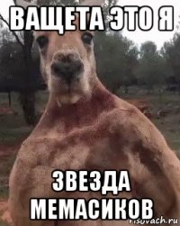 ващета это я звезда мемасиков