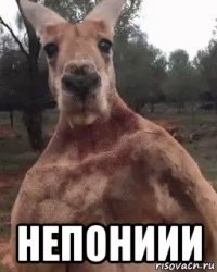  непониии