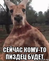 сейчас кому-то пиздец будет