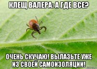 клещ валера: а где все? очень скучаю! вылазьте уже из своей самоизоляции!