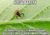 клещ валера не понял, а где все?! сильно скучаю, выходите уже из своей самоизоляции!