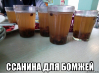  ссанина для бомжей