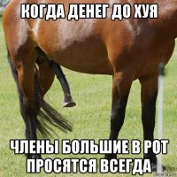 когда денег до хуя члены большие в рот просятся всегда