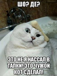 шо? де? это не я нассал в тапки! это чужой кот сделал!