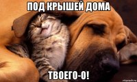 под крышей дома твоего-о!