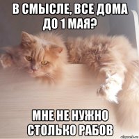 в смысле, все дома до 1 мая? мне не нужно столько рабов