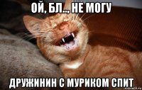 ой, бл.., не могу дружинин с муриком спит