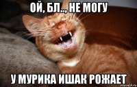 ой, бл.., не могу у мурика ишак рожает
