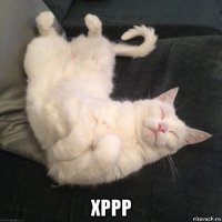  хррр