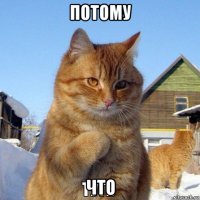 потому что