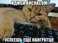иди за вискасом успеешь ещё наигратцо
