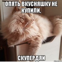 опять вкусняшку не купили, скупердяи
