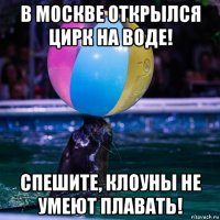 в москве открылся цирк на воде! спешите, клоуны не умеют плавать!