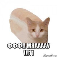  ффф!! мяаааау !!!11