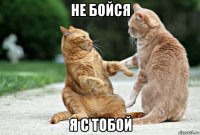 не бойся я с тобой