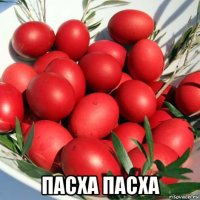 пасха пасха