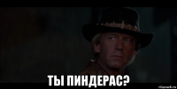  ты пиндерас?