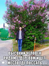  высокий человек рядом с деревом ищет место где поссать