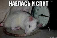 наелась и спит 