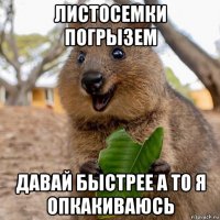 листосемки погрызем давай быстрее а то я опкакиваюсь