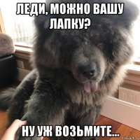 леди, можно вашу лапку? ну уж возьмите...
