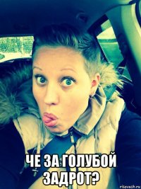  че за голубой задрот?