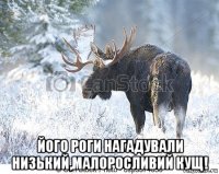  його роги нагадували низький,малоросливий кущ!