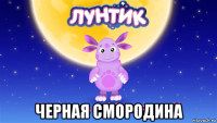  черная смородина