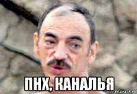  пнх, каналья