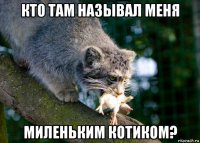 кто там называл меня миленьким котиком?