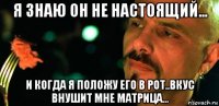 я знаю он не настоящий... и когда я положу его в рот..вкус внушит мне матрица...
