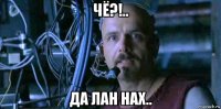 чё?!.. да лан нах..