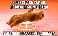 в цирке два самых послушных медведя умерли от сахарного диабета