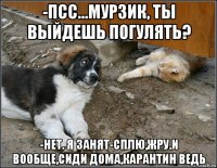 -псс...мурзик, ты выйдешь погулять? -нет. я занят-сплю,жру.и вообще,сиди дома,карантин ведь