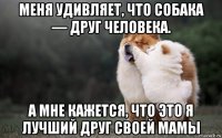 меня удивляет, что собака — друг человека. а мне кажется, что это я лучший друг своей мамы