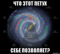 что этот петух себе позволяет?