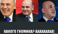 какого гномика? ахахахаха!