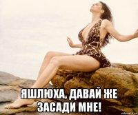  яшлюха, давай же засади мне!